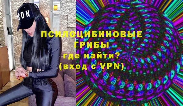 PSILOCYBIN Касимов