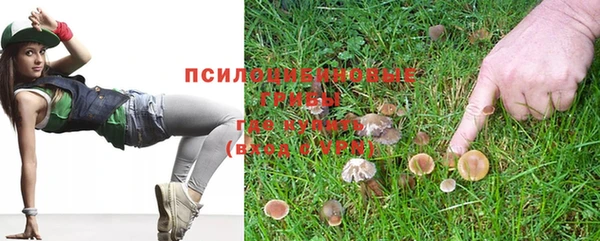 MDMA Карпинск