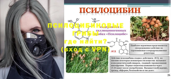 PSILOCYBIN Касимов